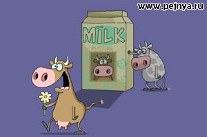 Забавная музыкальная флешка про корову.